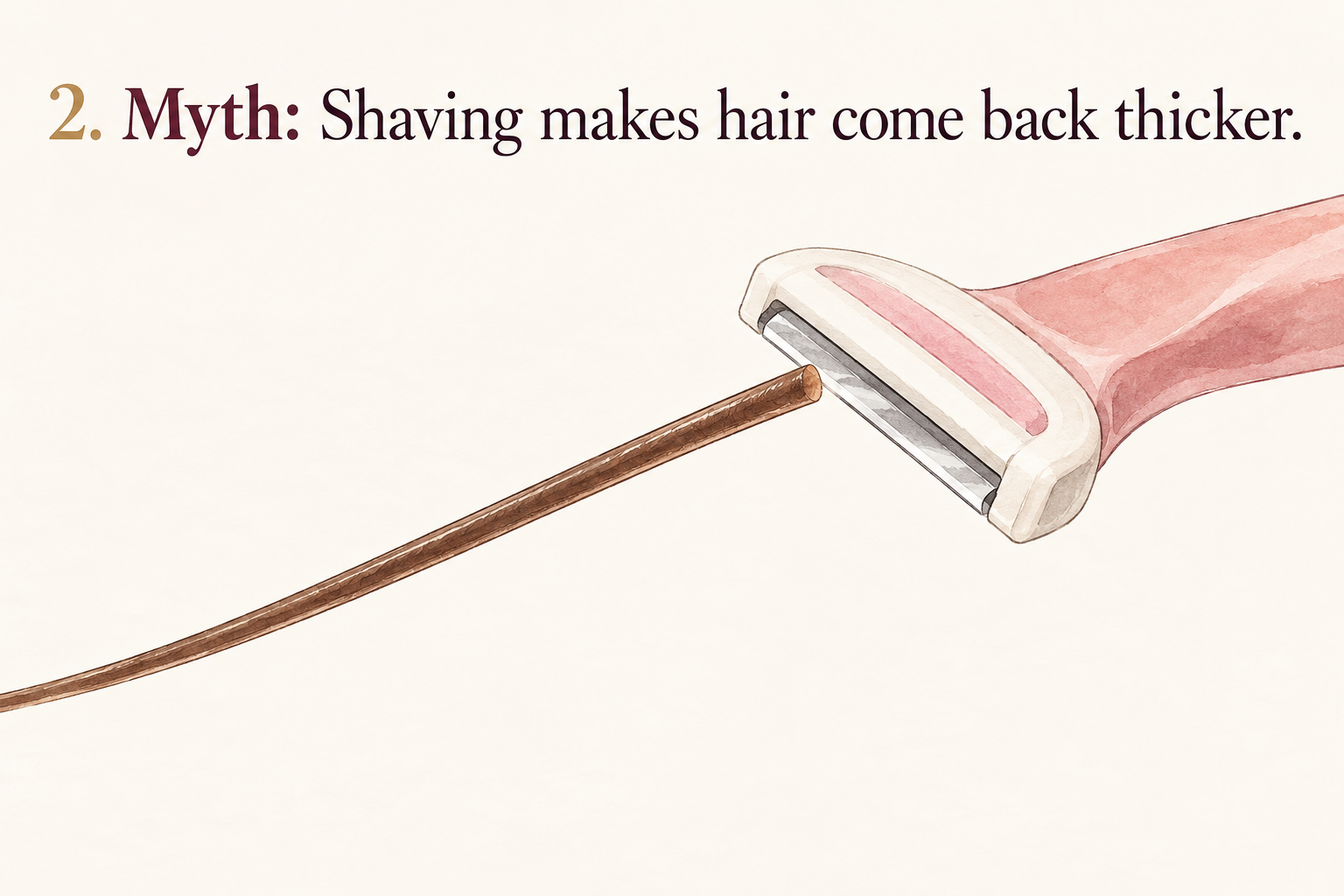An enlarged single blunt-cut hair tip and a razor appear beneath a heading identifying thicker regrowth as a myth.